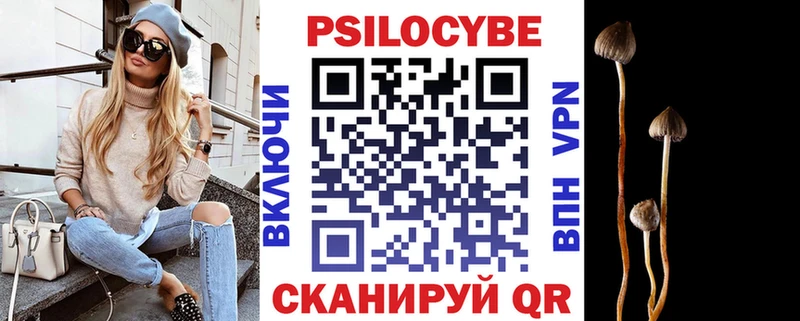 ссылка на мегу ссылка Аргун Галлюциногенные грибы мухоморы закладки